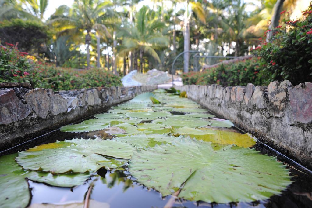 Le Domaine Des Pierres Hotel Saint Pierre Eksteriør billede